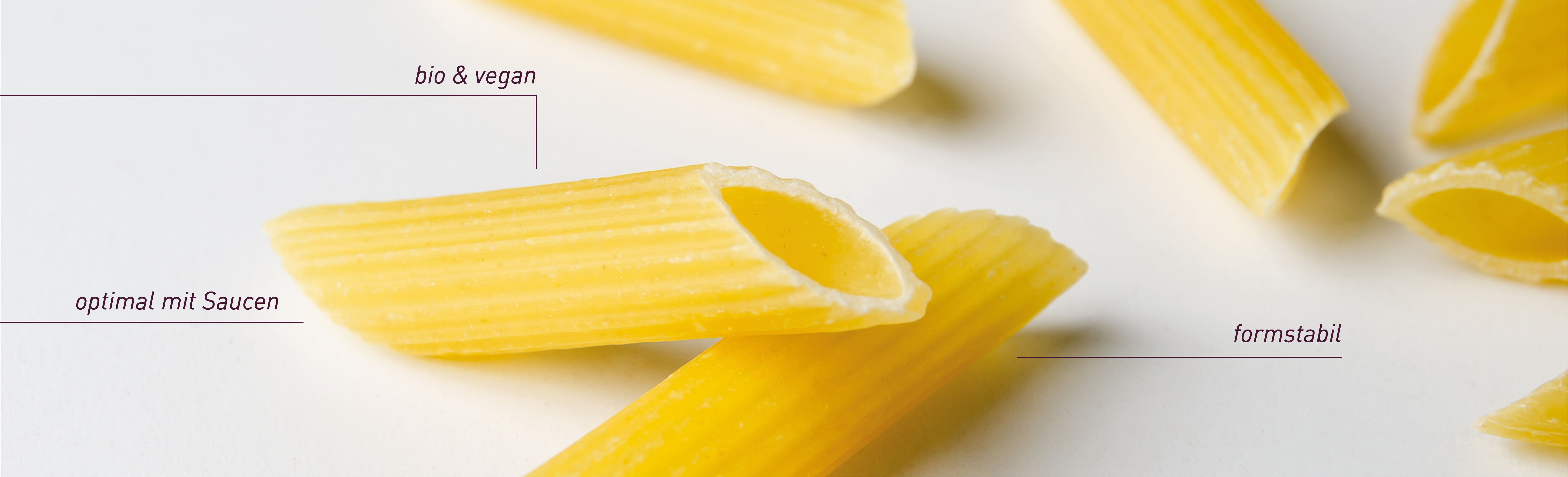 ALB-GOLD Bio Hartweizen Penne: bio und vegan. optimal mit Saucen. Formstabil.