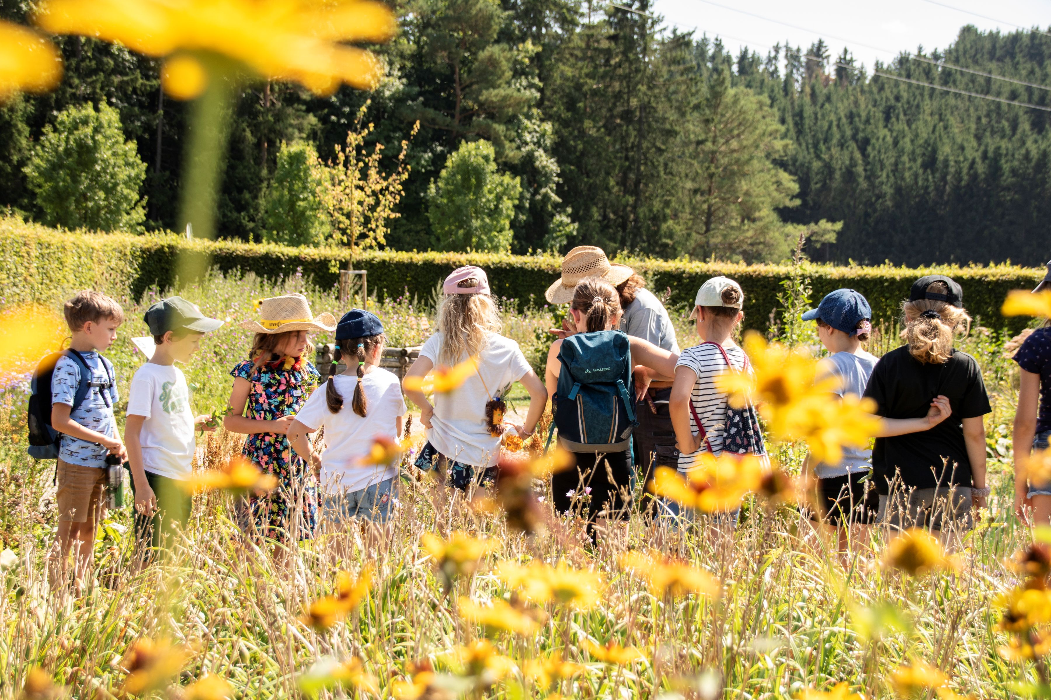 Familienangebote für Groß und Klein