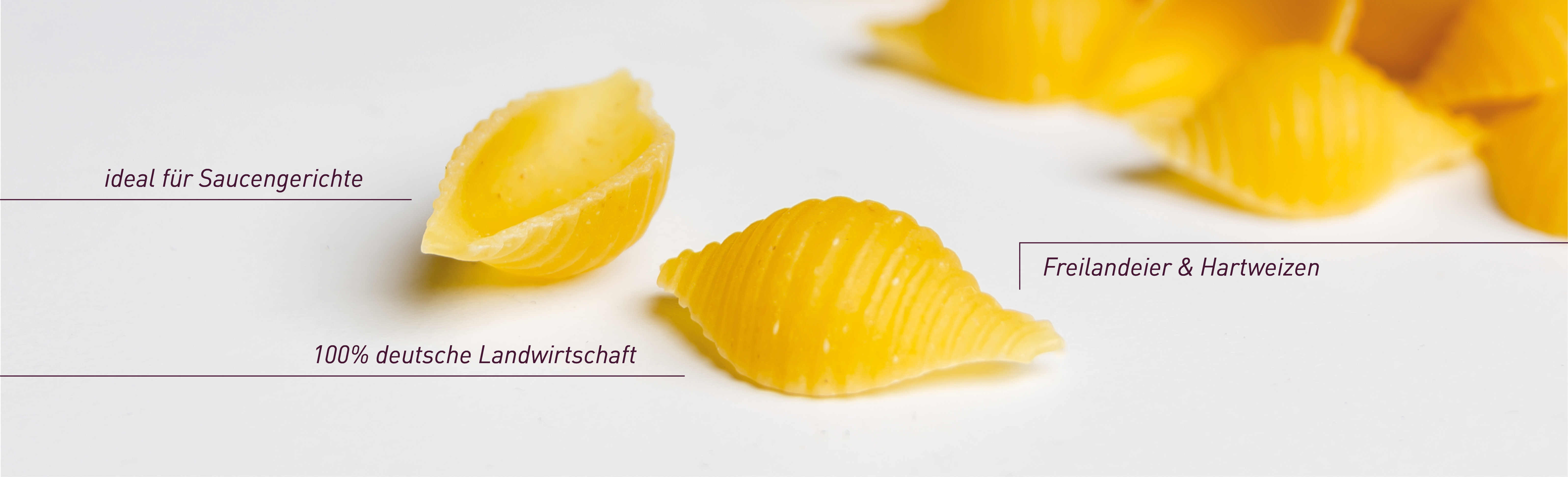 ALB-GOLD Eiernudeln Muscheln: ideal für Saucengerichte. Freilandeier und Hartweizen. 100 % deutsche Landwirtschaft.