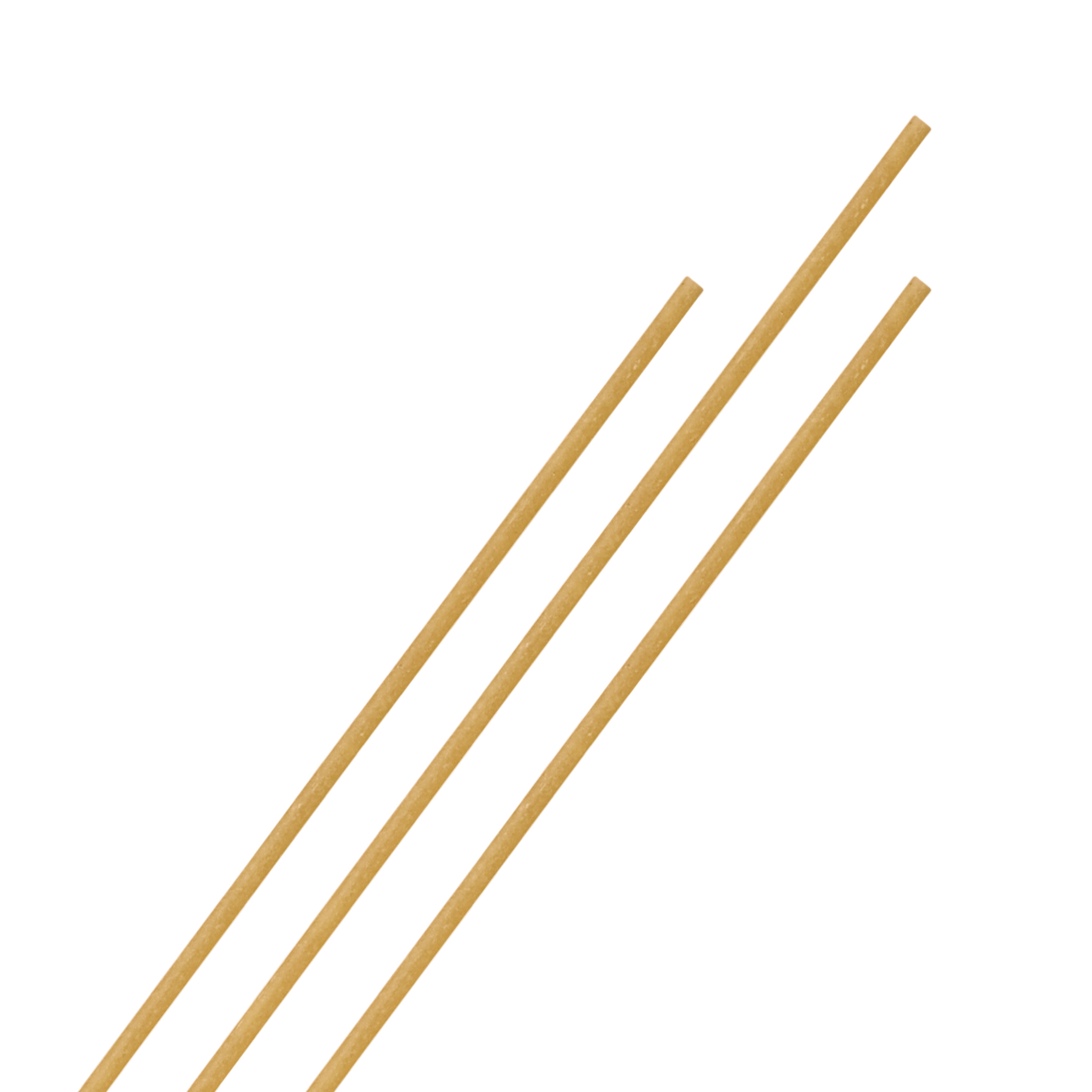 Bio Dinkel Spaghetti Bio Dinkel Spaghetti