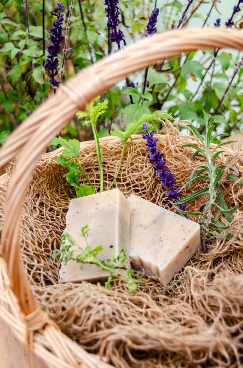 Workshop Kräuter-Seife