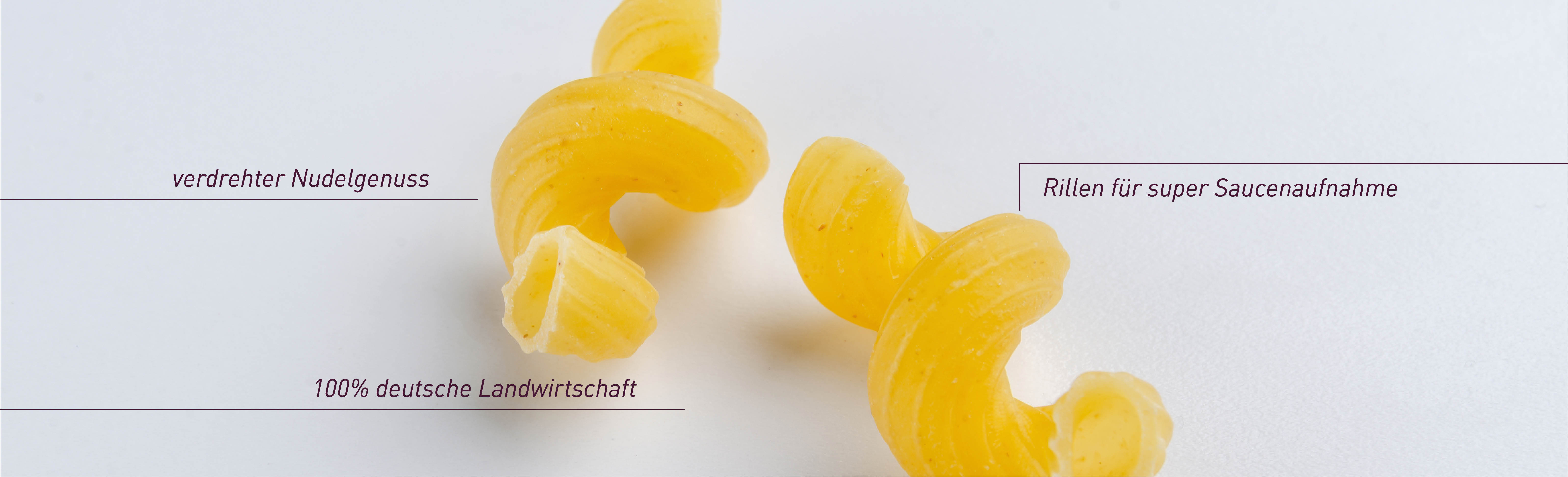 ALB-GOLD Eiernudeln Muscheln: ideal für Saucengerichte. Freilandeier und Hartweizen. 100 % deutsche Landwirtschaft.