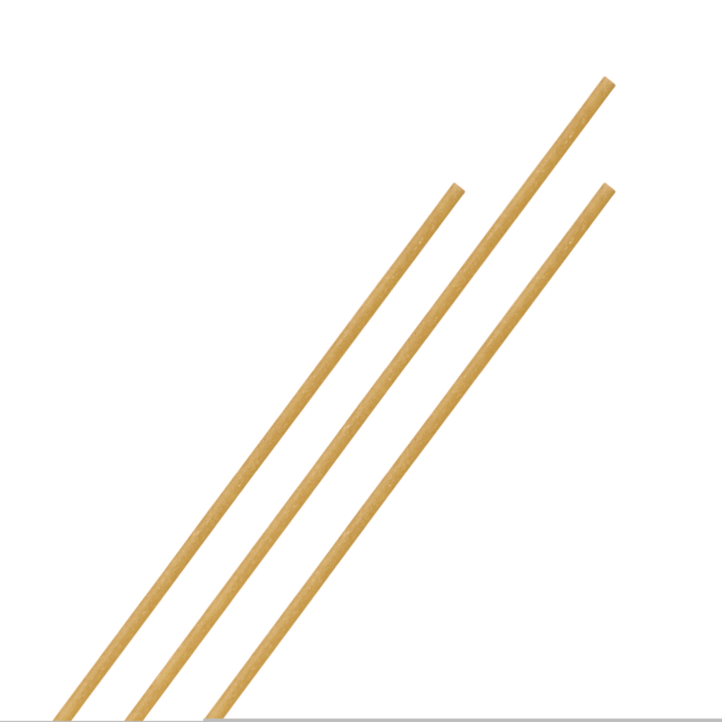 Bio Dinkel Spaghetti