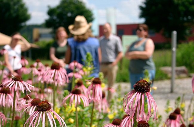 Entdeckungstouren durch den Naturgarten Kinder